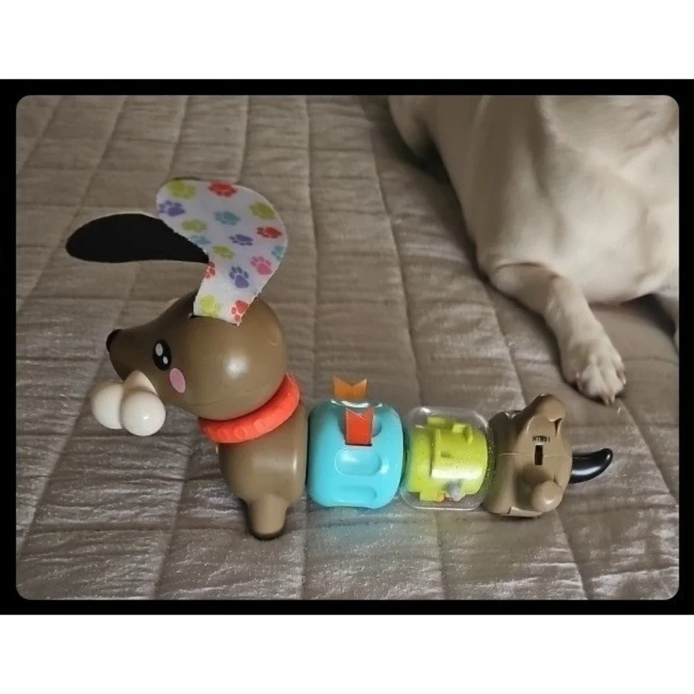 Fisher-Price Clicker Dachshund Baby Sensory Toy Brown Blue Green Puppy Dog